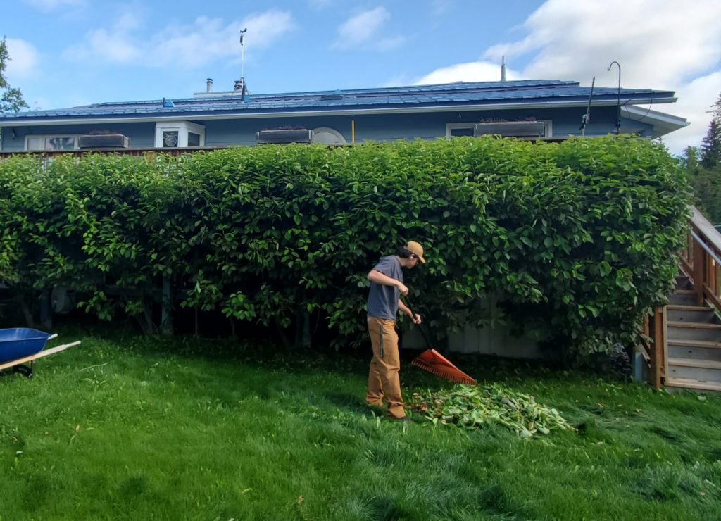 Anchorage Lawn Care and Landscaping Alaska Premier Services