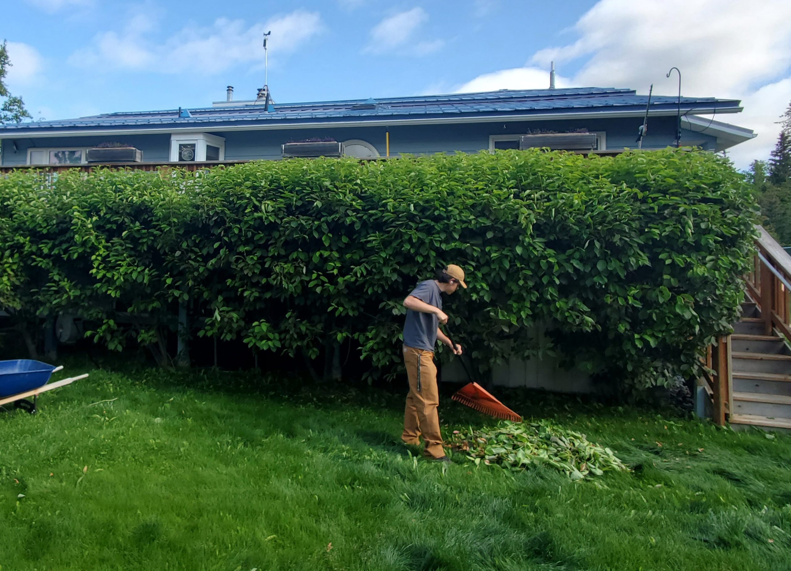 Tree pruning and shrub trimming can be performed throughout your property.