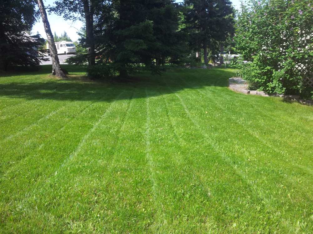 Anchorage's Best Lawn Company!   Alaska Premier Services.