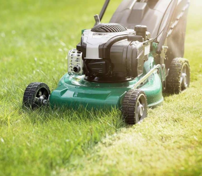 Lawn Maintenance in the Anchorage Area