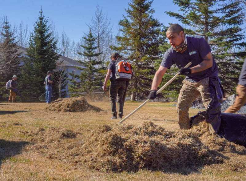 Anchorage spring clean up service. lawn dethatching