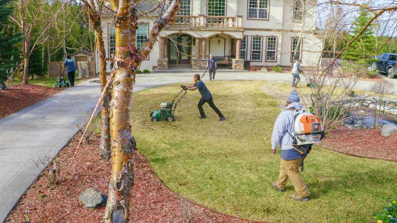 Anchorage Dethatching and Spring Clean Up Services