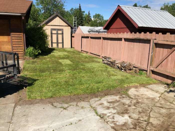 New Lawn with Sod installed in front yard.  